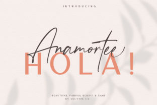Anamortee Font Duo for Modern Web Design