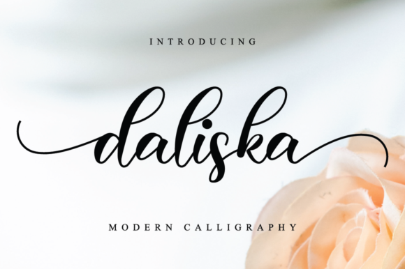 Daliska: The Premium Script Font for Modern Branding