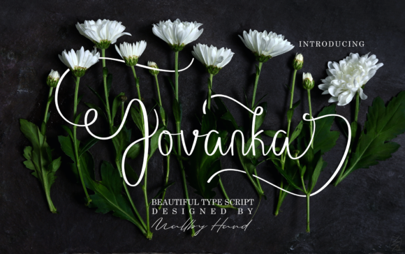 Jovanka Font Review for Social Campaigns