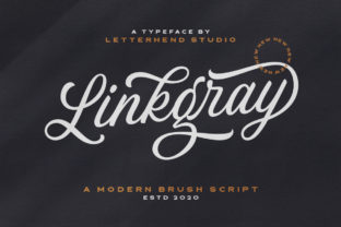 Linkgray: The Friendly Script Font for Modern Brands