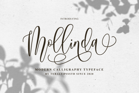 Mollinda: Elegant Script Font for Editorial Design